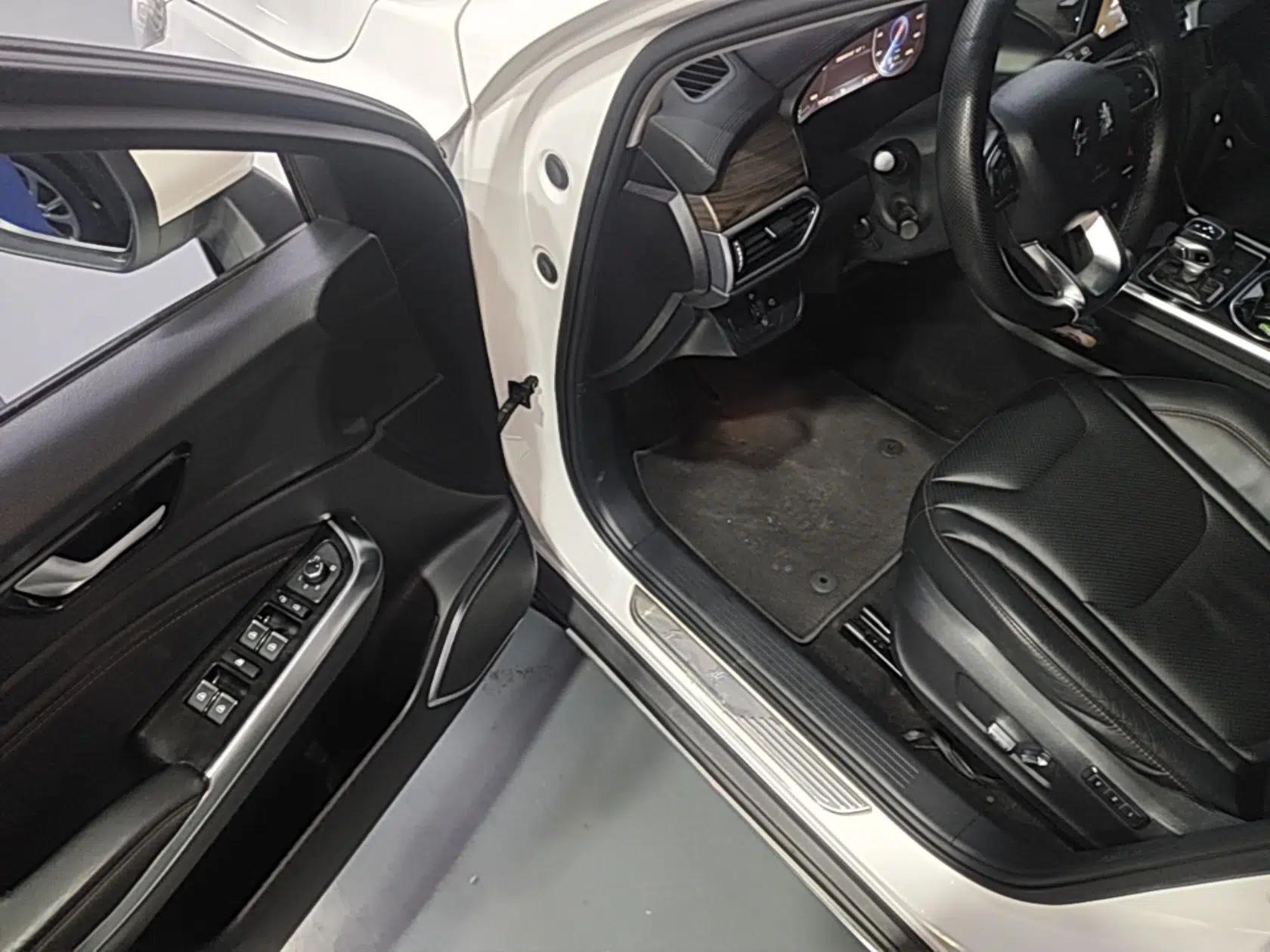 Hongqi E-HS3 2019 Zhilian Qiyue Two-Wheel Drive Version — миниатюра 19