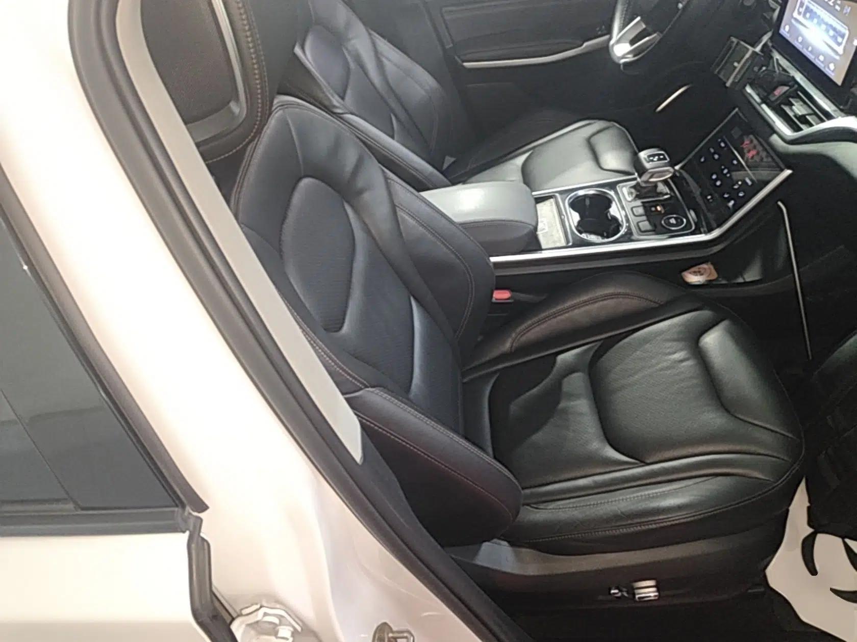 Hongqi E-HS3 2019 Zhilian Qiyue Two-Wheel Drive Version — миниатюра 23