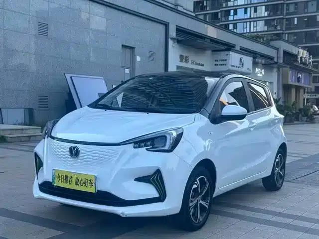 Changan Benben E-Star 2022 National Edition, Colorful Limited Edition (Fast Charging Version), Lithium Iron Phosphate