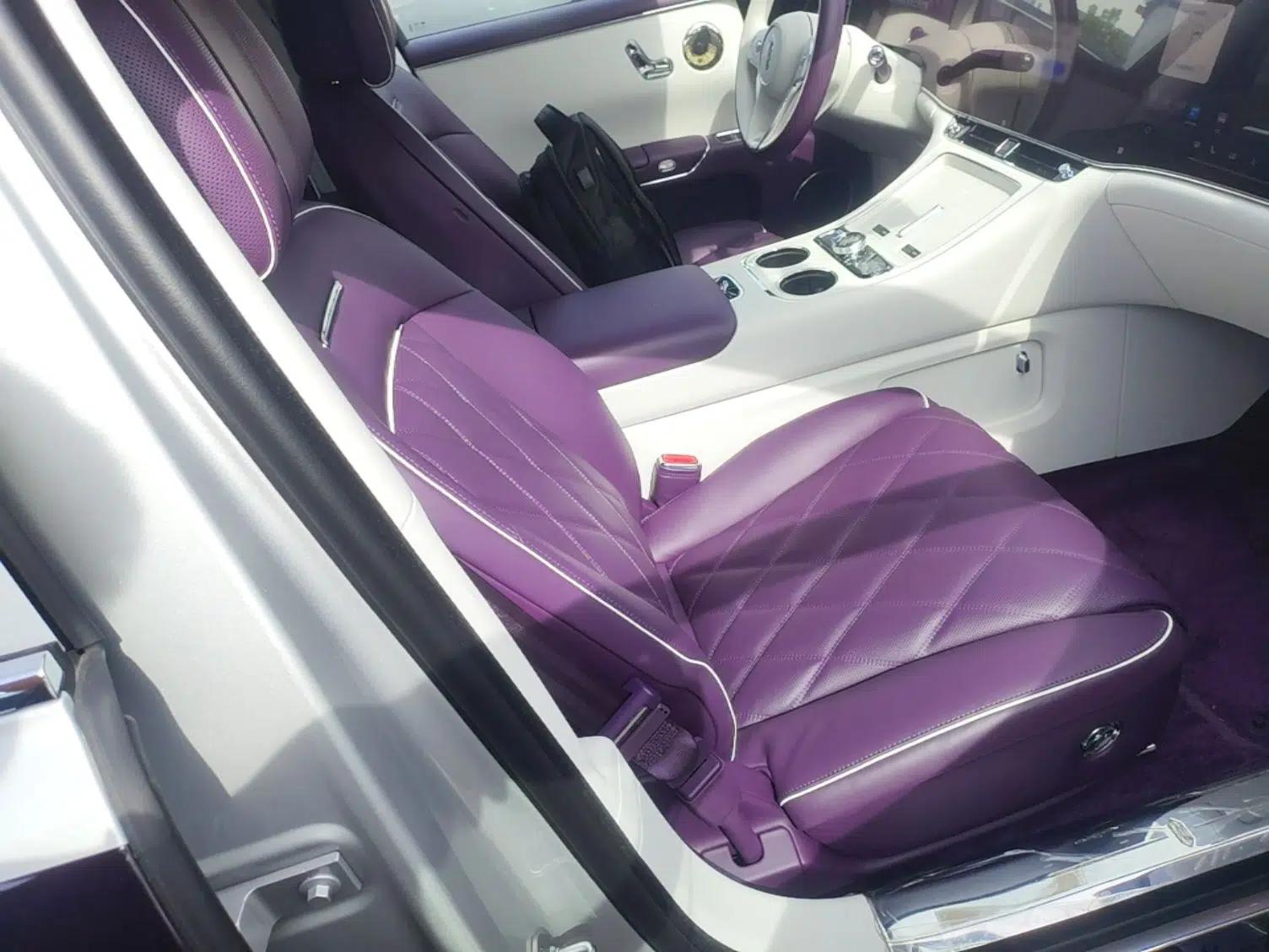 Hima S800 2025 Model, Range-Extended Starlight Executive Edition, 4 Seats — миниатюра 23