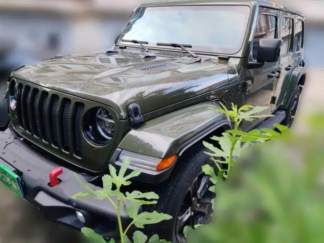 Jeep Wrangler 2022 2.0T Highland Jungle Green Limited Edition