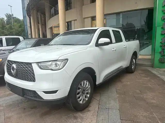 Cannon 2020 2.0T Commercial Version Automatic Diesel Four-Wheel Drive Executive Long Box GW4D20M