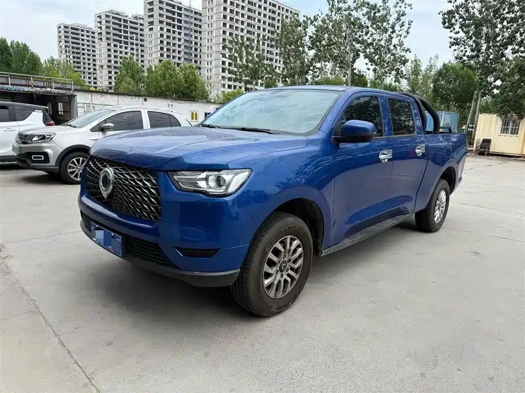 Cannon 2019 2.0T Commercial Version Automatic Gasoline Two-Wheel Drive Elite Long Box GW4C20B — миниатюра 1