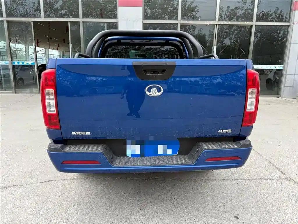 Cannon 2019 2.0T Commercial Version Automatic Gasoline Two-Wheel Drive Elite Long Box GW4C20B — миниатюра 4