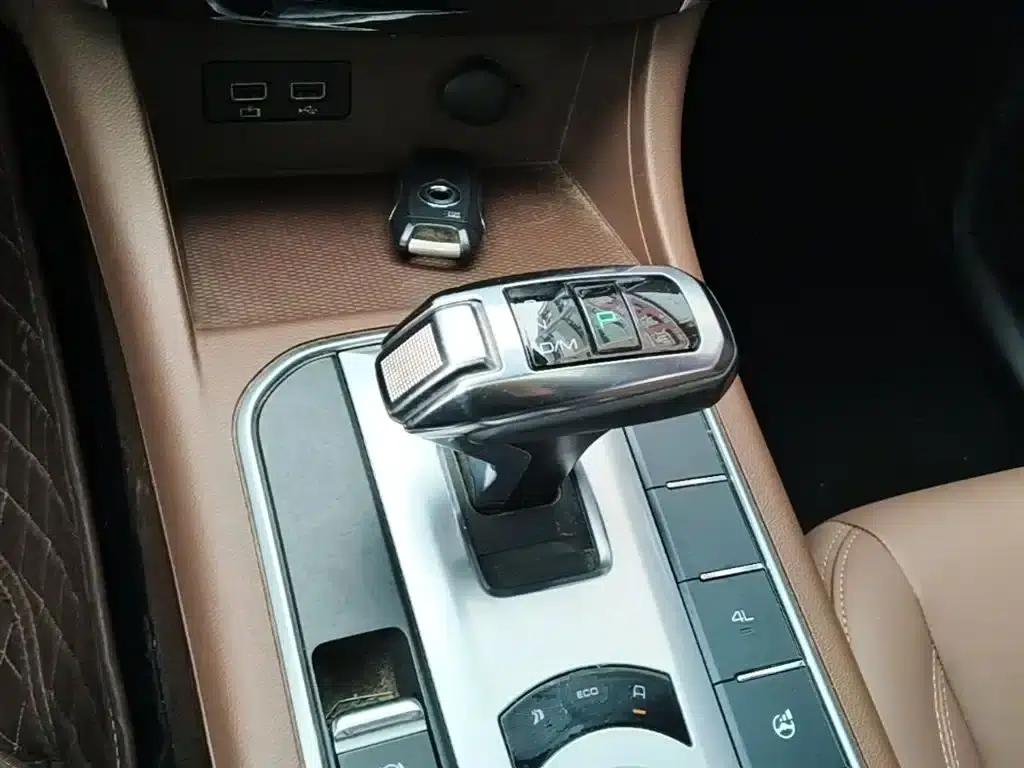 Cannon 2019 2.0T Automatic Gasoline 4WD Sport Edition GW4C20B — миниатюра 14