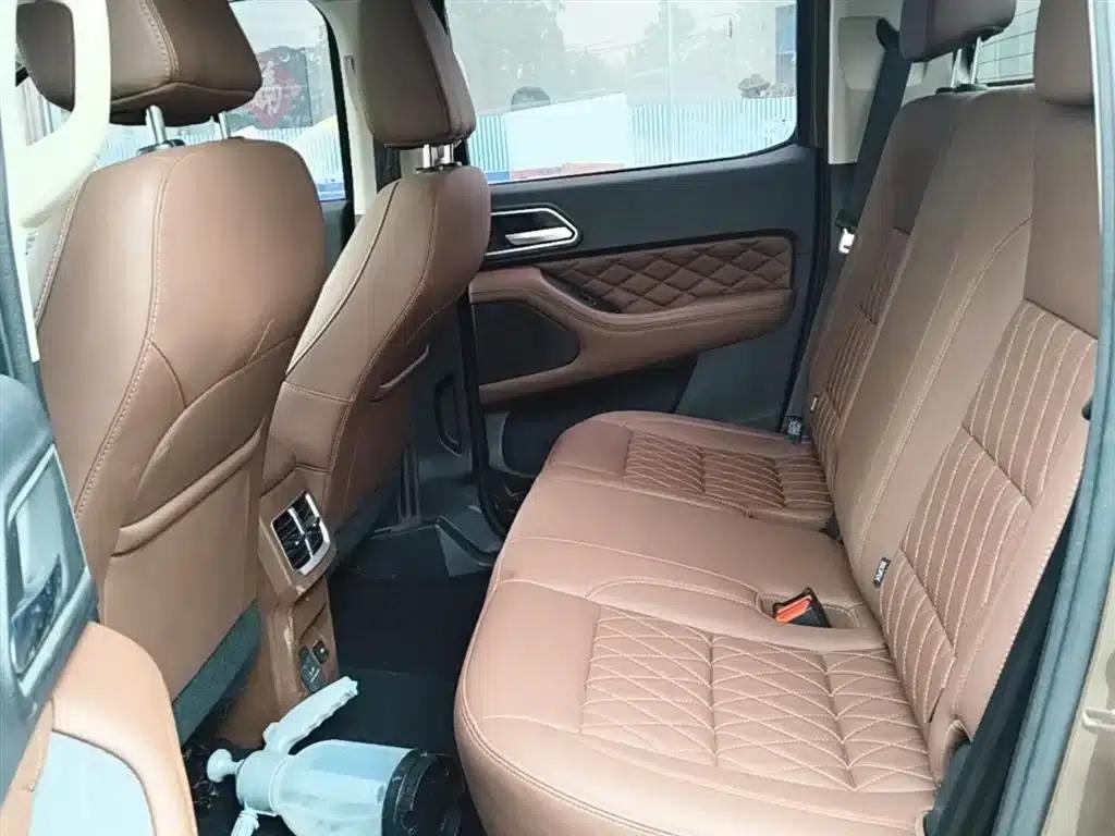 Cannon 2019 2.0T Automatic Gasoline 4WD Sport Edition GW4C20B — миниатюра 17