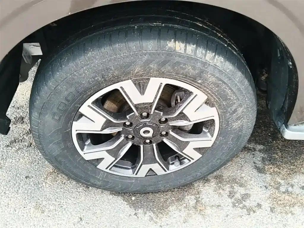 Cannon 2019 2.0T Automatic Gasoline 4WD Sport Edition GW4C20B — миниатюра 23