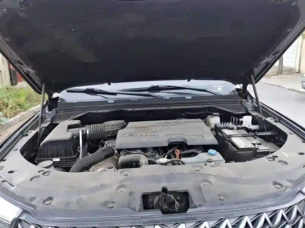 Cannon 2024 2.4T Commercial Version Automatic Diesel 4WD Elite — миниатюра 20