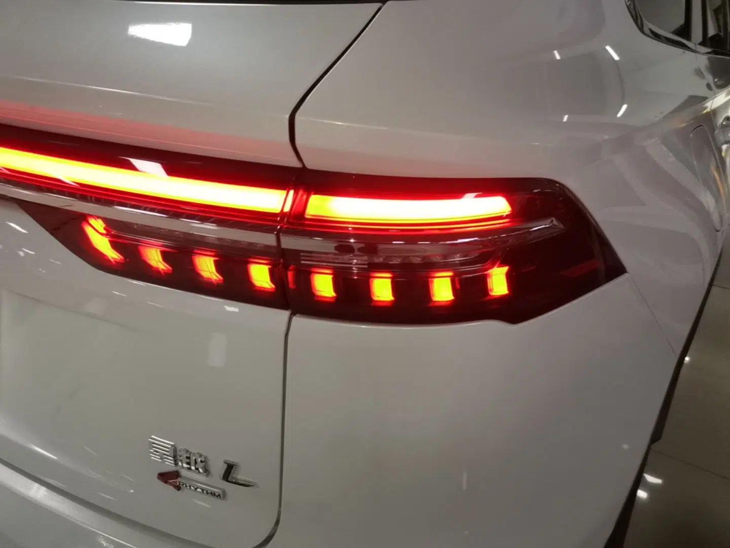 Geely Auto Monjaro L 2021 2.0TD High-Power Automatic All-Wheel-Drive Flagship Version — миниатюра 7
