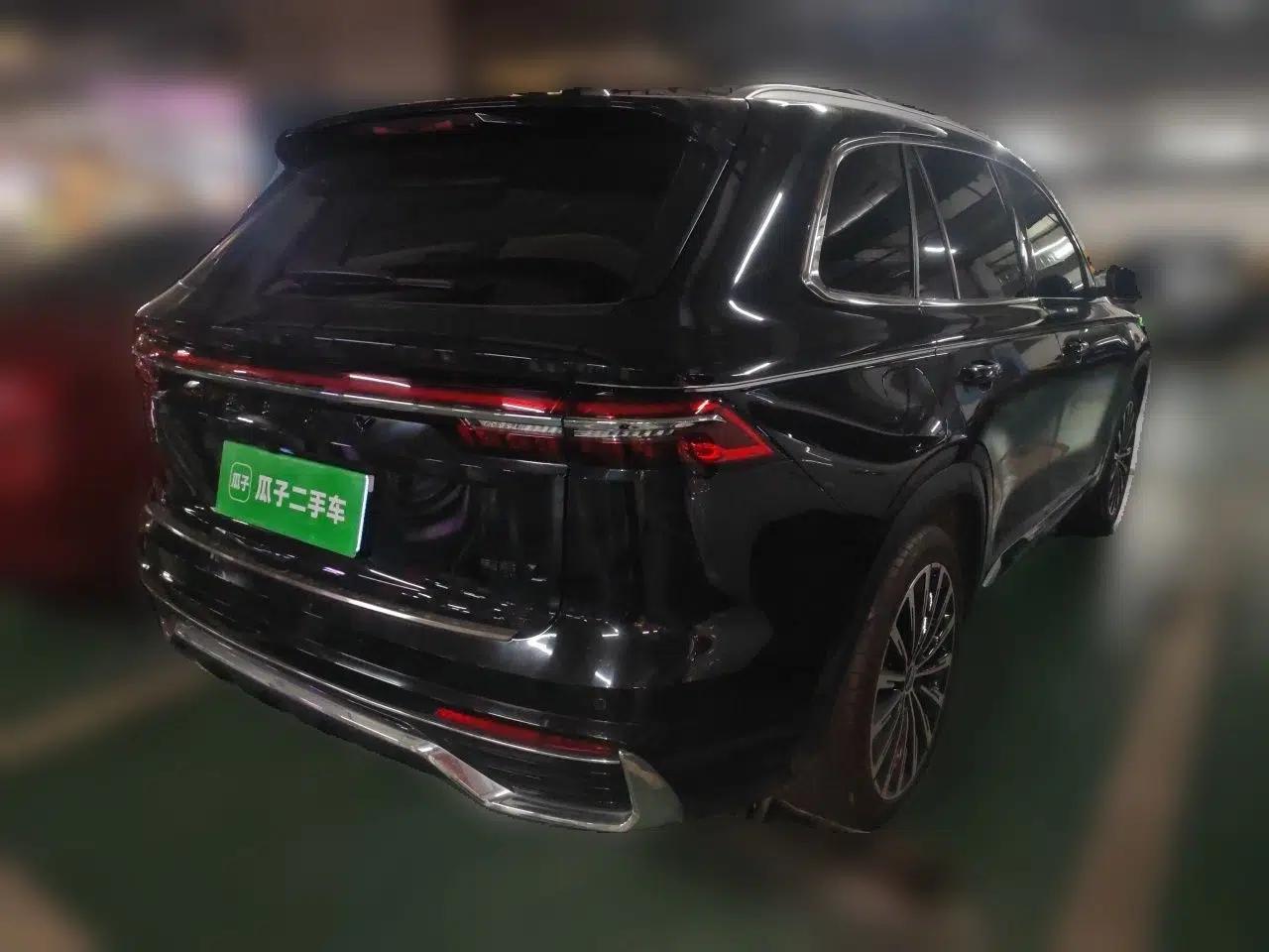 Geely Auto Monjaro L 2023 2.0TD High-Power Automatic Two-Wheel Drive Flagship Version — миниатюра 6