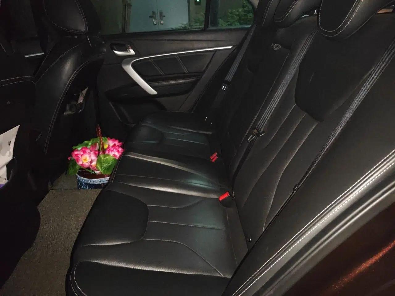 Geely Auto Emgrand 2016 Sedan 1.5L CVT Upward Version — миниатюра 18