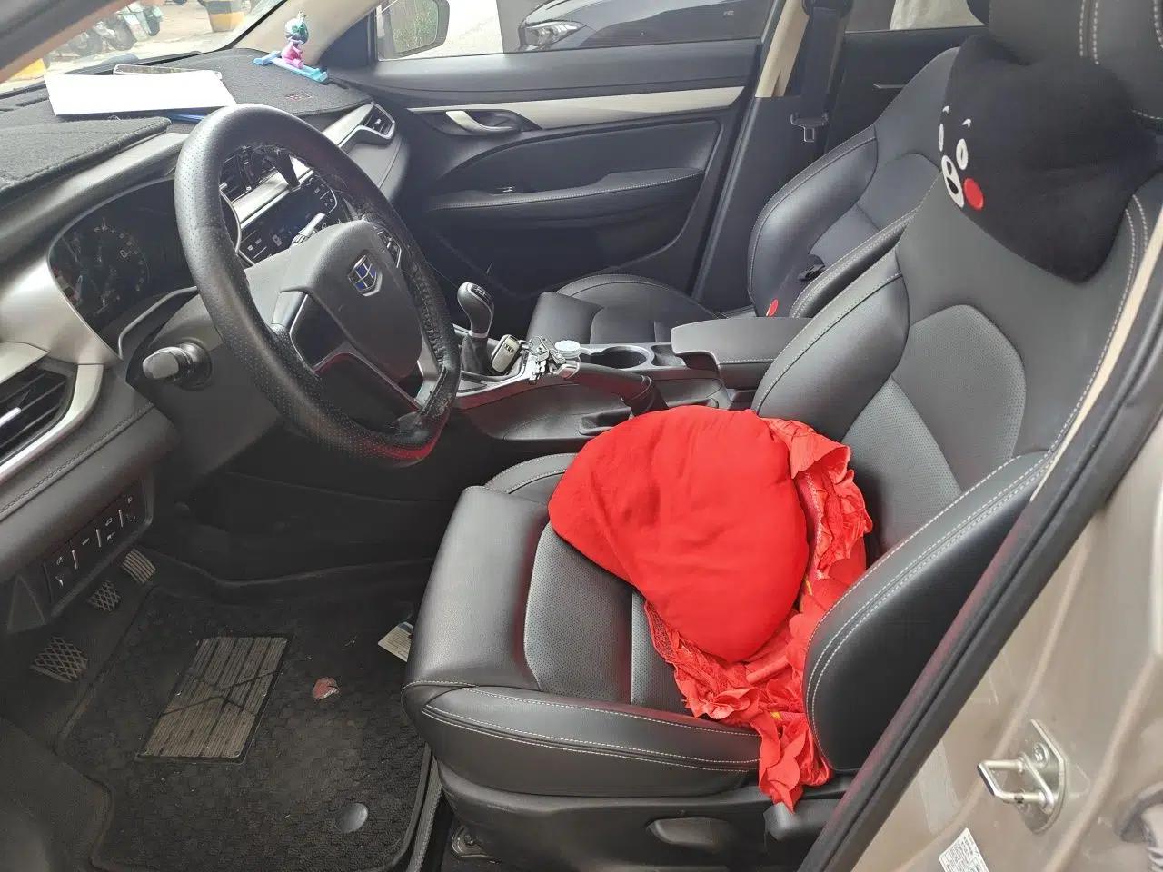 Geely Auto Emgrand 2018 1.5L Manual Upward Connect Edition — миниатюра 16