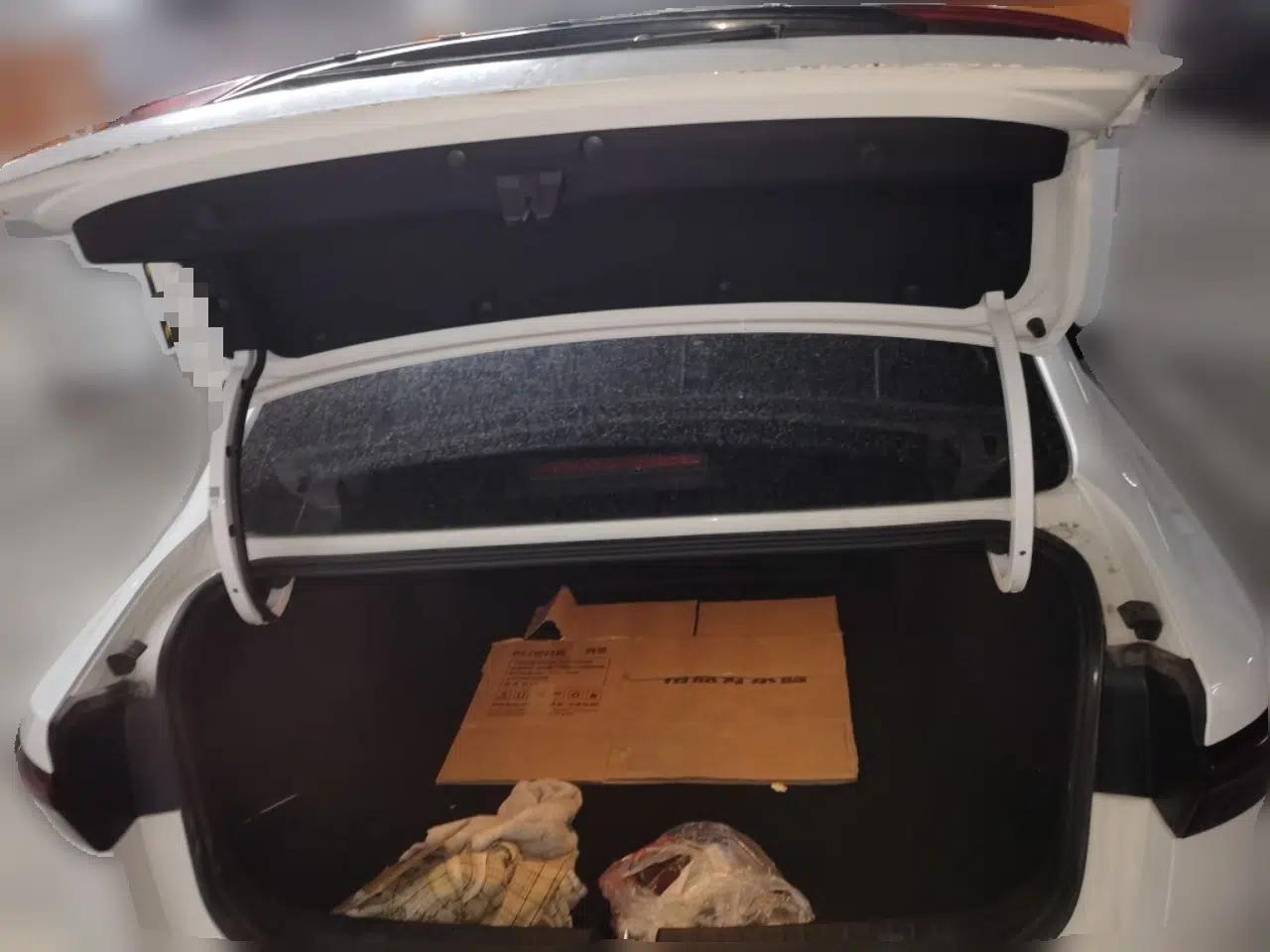 Geely Auto Emgrand 2025 4th Generation 1.5L CVT Starry Edition — миниатюра 20