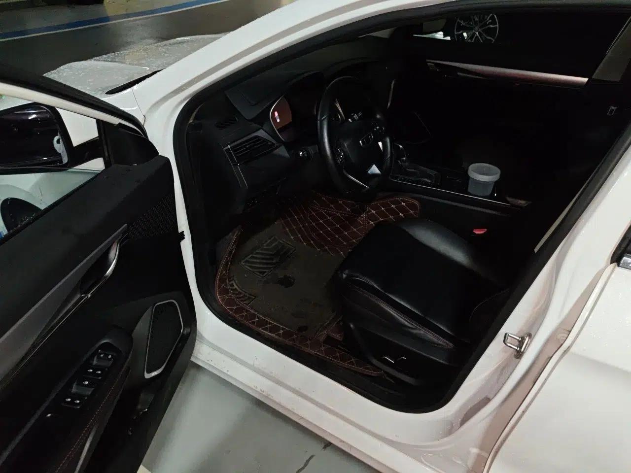 Geely Auto Binray 2019 200T DCT Binzhi Edition — миниатюра 17
