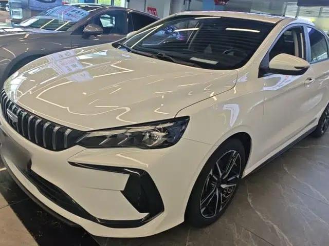 Geely Auto Binray 2024 Binrui COOL 1.5T DCT Champion Edition