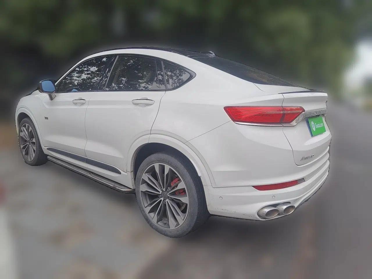 Geely Auto Monjaro 2019 350T Yuxingzhe — миниатюра 4