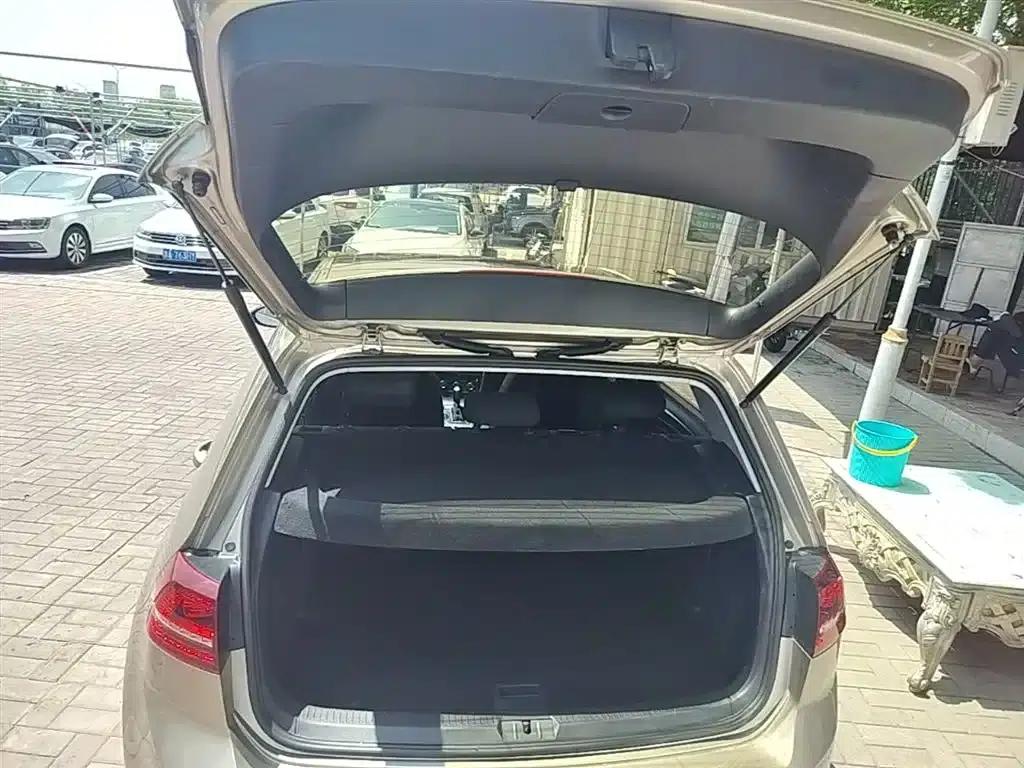2017 Golf 1.6L Automatic Comfort Millionth Unit Commemorative Edition — миниатюра 19