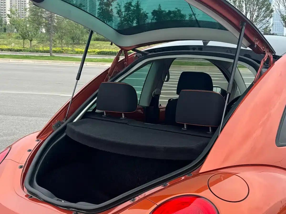 2010 Volkswagen Beetle 2.0 BlackOrange Luxury Edition — миниатюра 6
