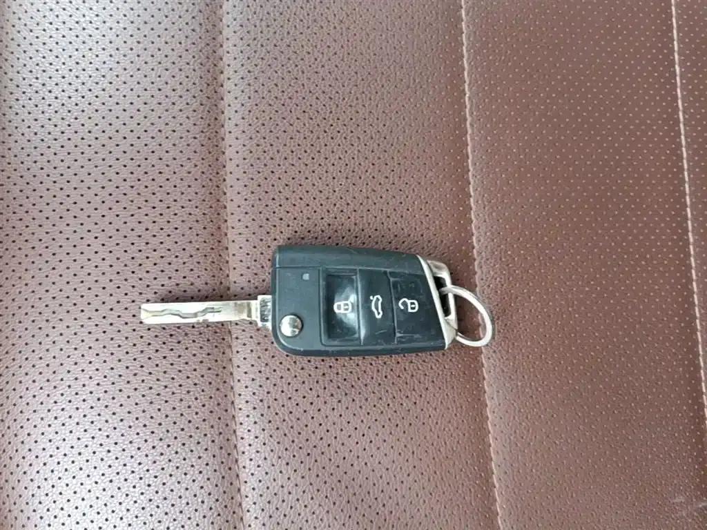 2019 Volkswagen Lavida EV Premium Edition — миниатюра 17