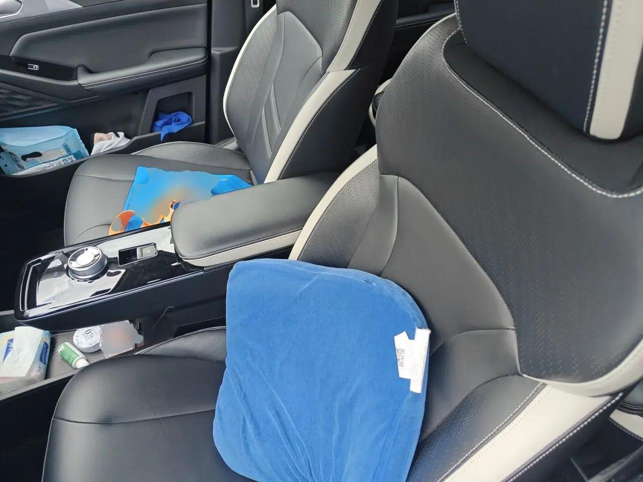 Geometry E Firefly 2023 320KM Cute & Handsome Tiger 5 Seats — миниатюра 16