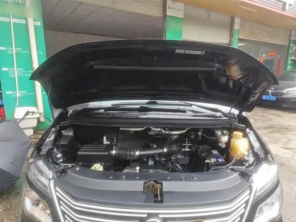 Lingzhi 2019 M5L 1.6L 7-seater Special Edition (China VI Emission Standard) — миниатюра 20