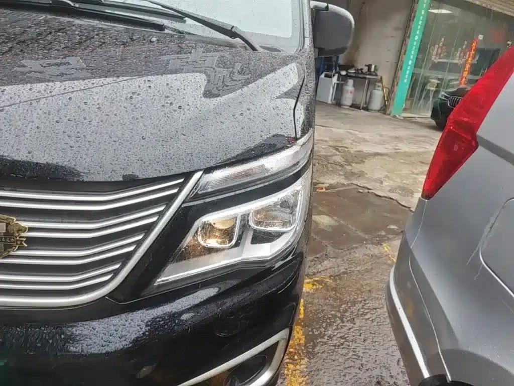 Lingzhi 2019 M5L 1.6L 7-seater Special Edition (China VI Emission Standard) — миниатюра 24