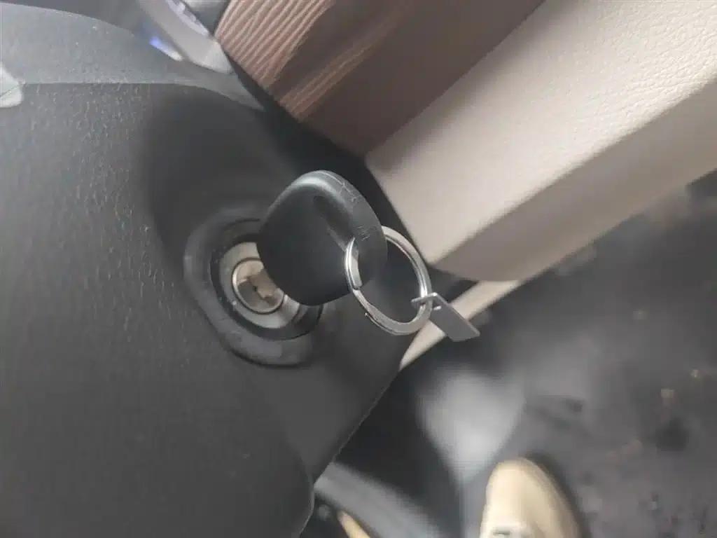 Lingzhi 2019 M5L 1.6L 7-seater Special Edition (China VI Emission Standard) — миниатюра 9