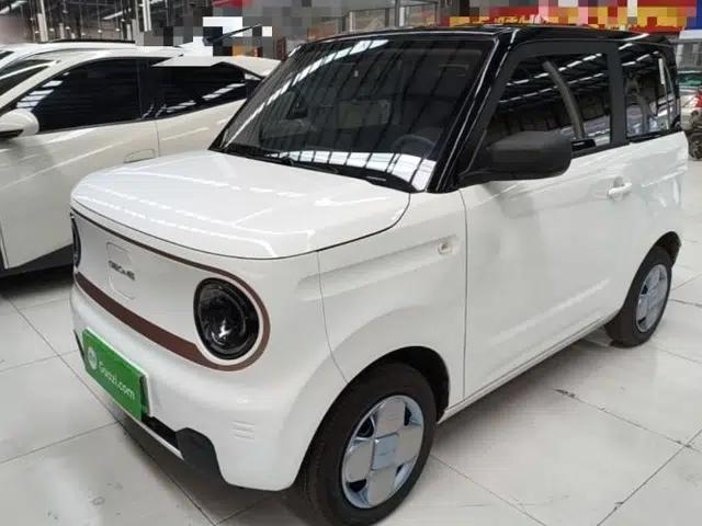 Geely Galaxy Panda 2024 Panda Mini 200km Endurance Bear