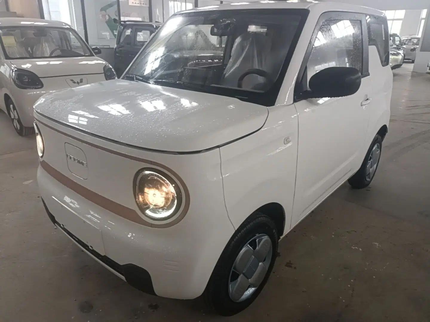 Geely Galaxy Panda 2024 Panda Mini 200km Endurance Bear — миниатюра 1