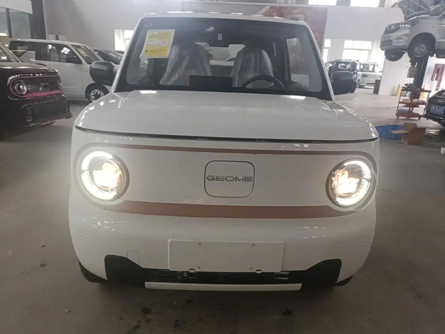 Geely Galaxy Panda 2024 Panda Mini 200km Endurance Bear — миниатюра 2