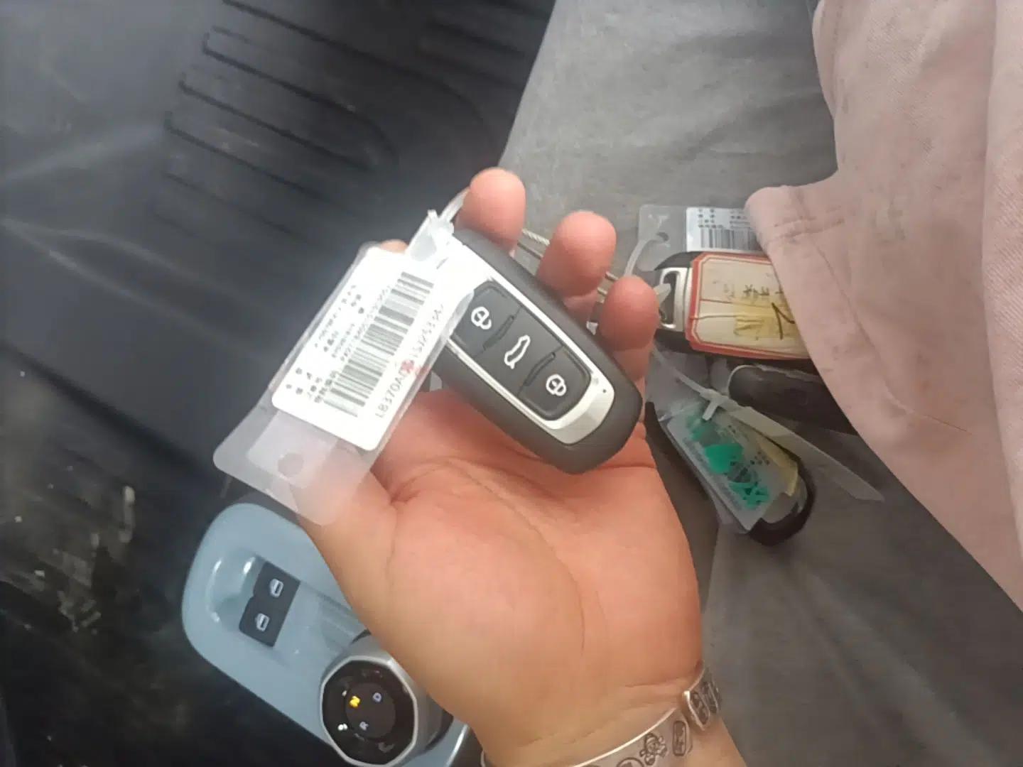 Geely Galaxy Panda 2024 Panda Mini 200km Endurance Bear — миниатюра 12
