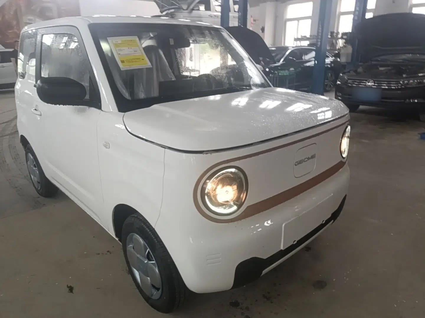 Geely Galaxy Panda 2024 Panda Mini 200km Endurance Bear — миниатюра 3