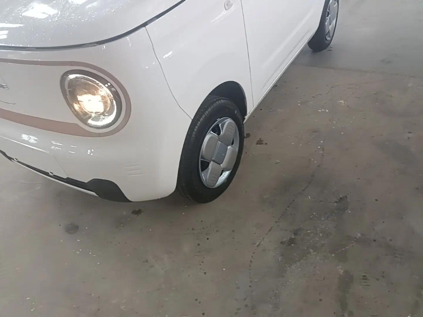 Geely Galaxy Panda 2024 Panda Mini 200km Endurance Bear — миниатюра 8