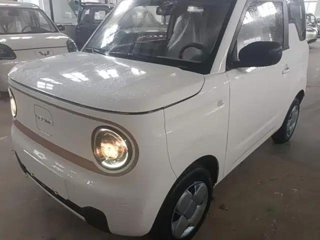 Geely Galaxy Panda 2024 Panda Mini 200km Endurance Bear