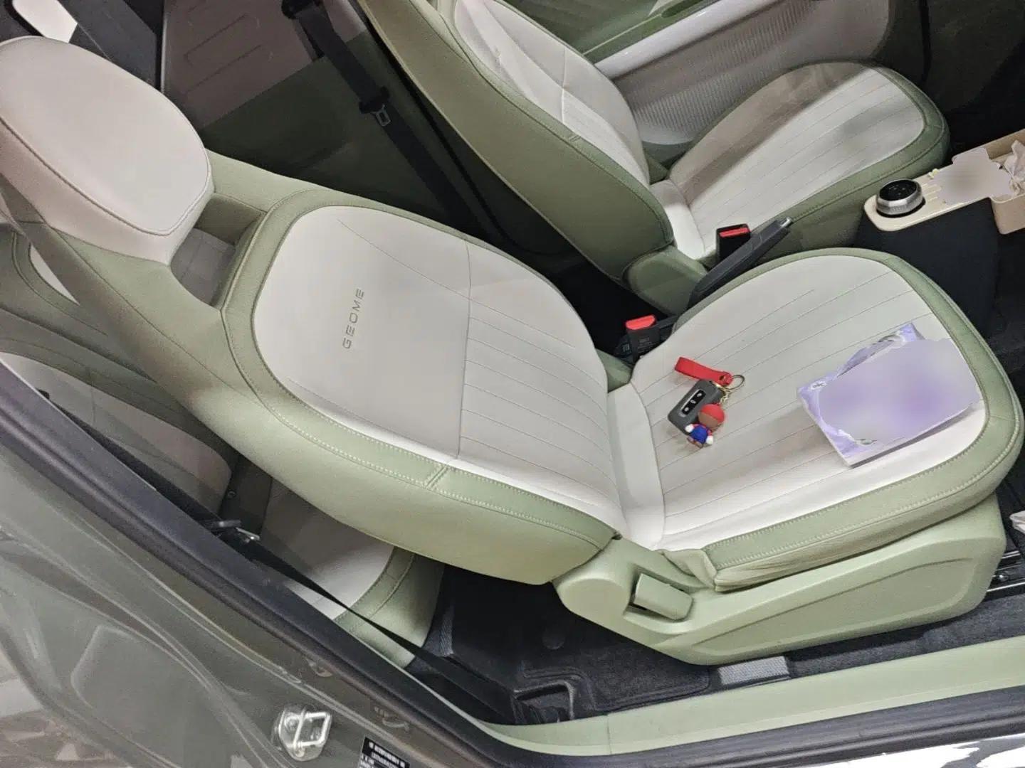 Geely Galaxy Panda 2025 210km Panda Rider — миниатюра 23