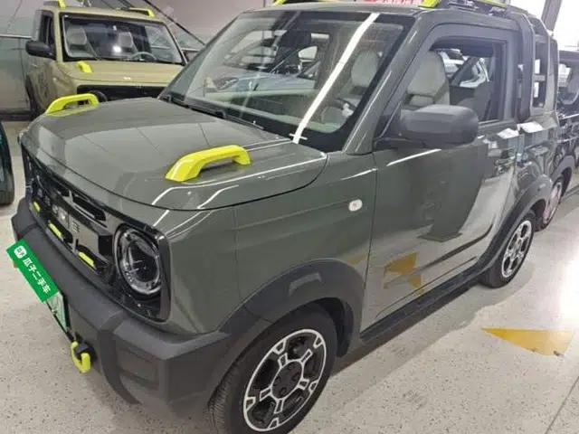 Geely Galaxy Panda 2025 210km Panda Rider