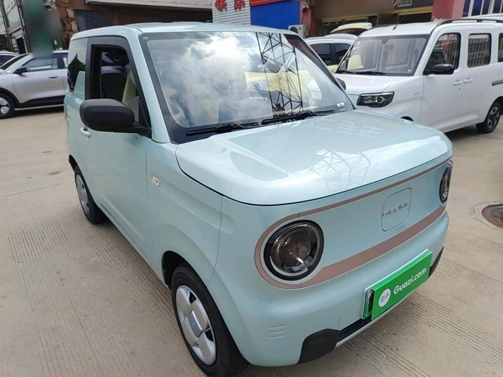 Geely Galaxy Panda 2023 Panda Mini 200km Endurance Bear — миниатюра 3