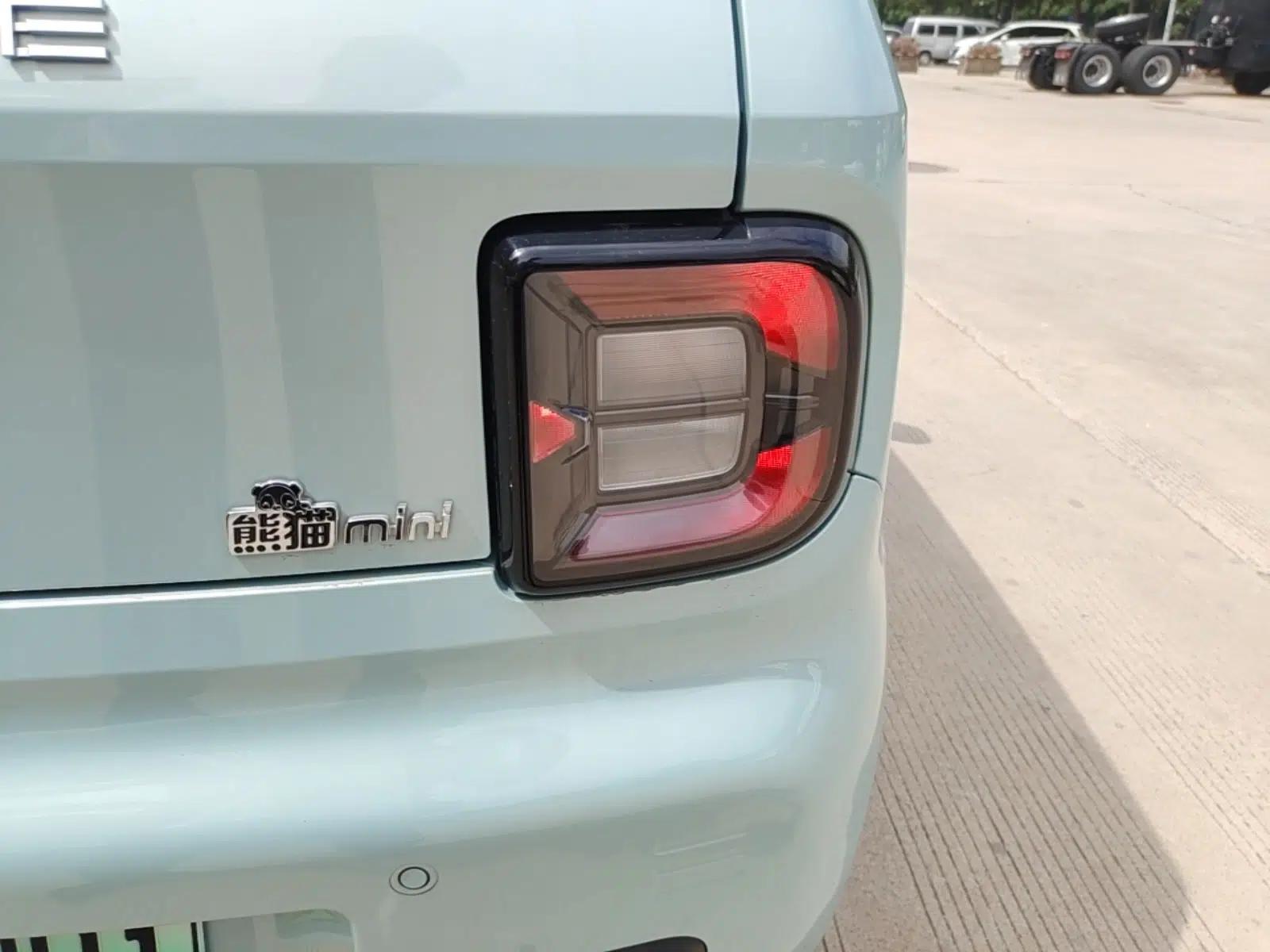 Geely Galaxy Panda 2023 Panda Mini 200km Endurance Bear — миниатюра 7