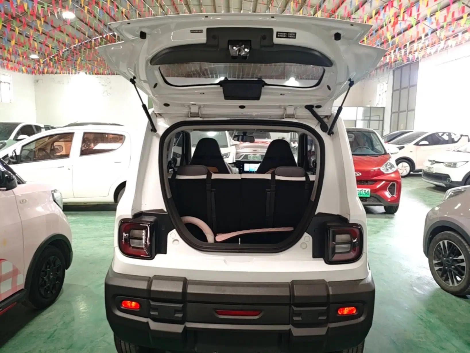 Geely Galaxy Panda 2024 200km Panda Rider — миниатюра 20