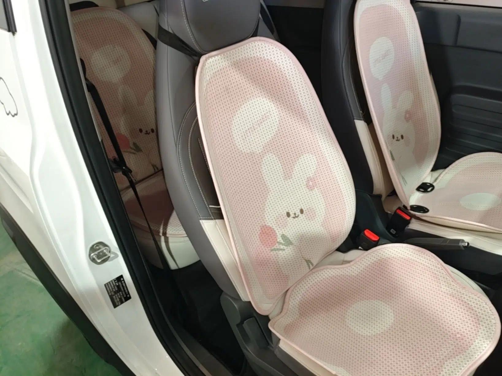 Geely Galaxy Panda 2024 200km Panda Rider — миниатюра 22