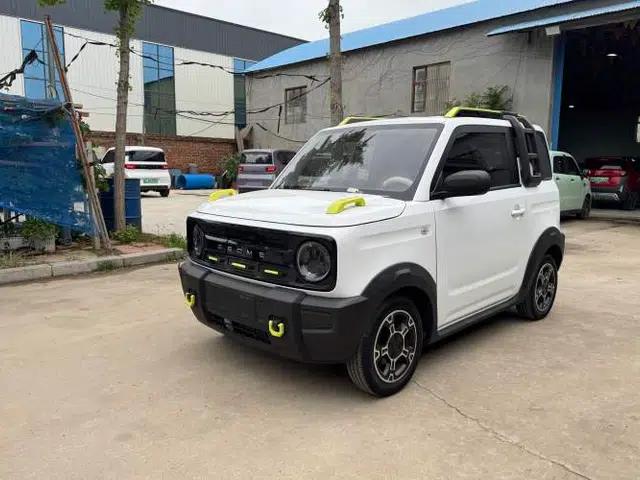 Geely Galaxy Panda 2024 200km Panda Rider