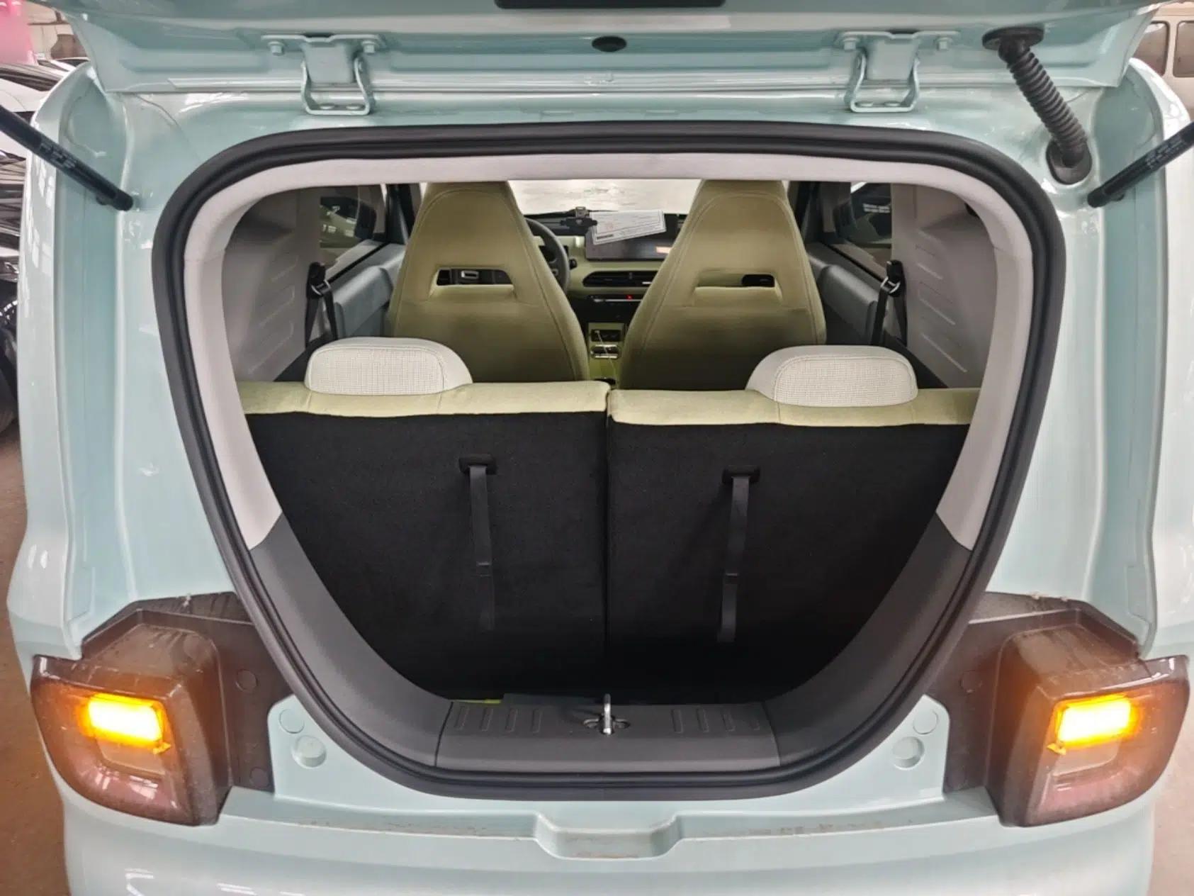 Geely Galaxy Panda 2024 Panda Mini 200km Endurance Bear — миниатюра 21