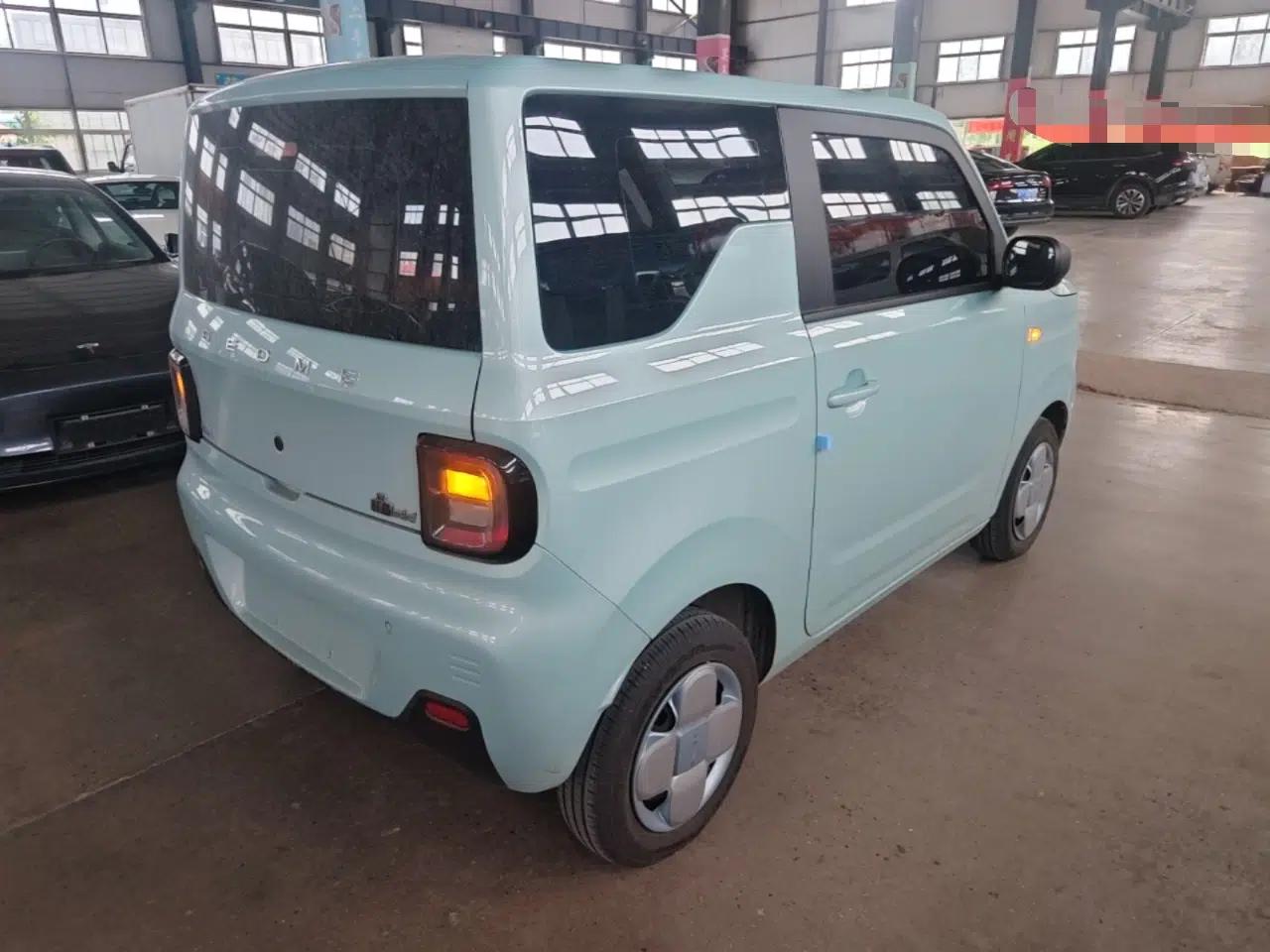 Geely Galaxy Panda 2024 Panda Mini 200km Endurance Bear — миниатюра 4
