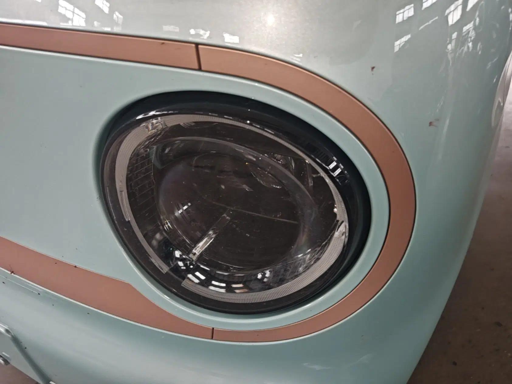 Geely Galaxy Panda 2024 Panda Mini 200km Endurance Bear — миниатюра 5