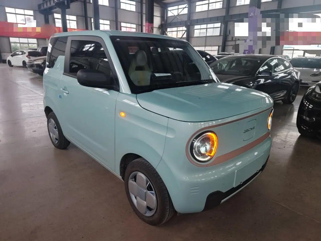 Geely Galaxy Panda 2024 Panda Mini 200km Endurance Bear — миниатюра 6