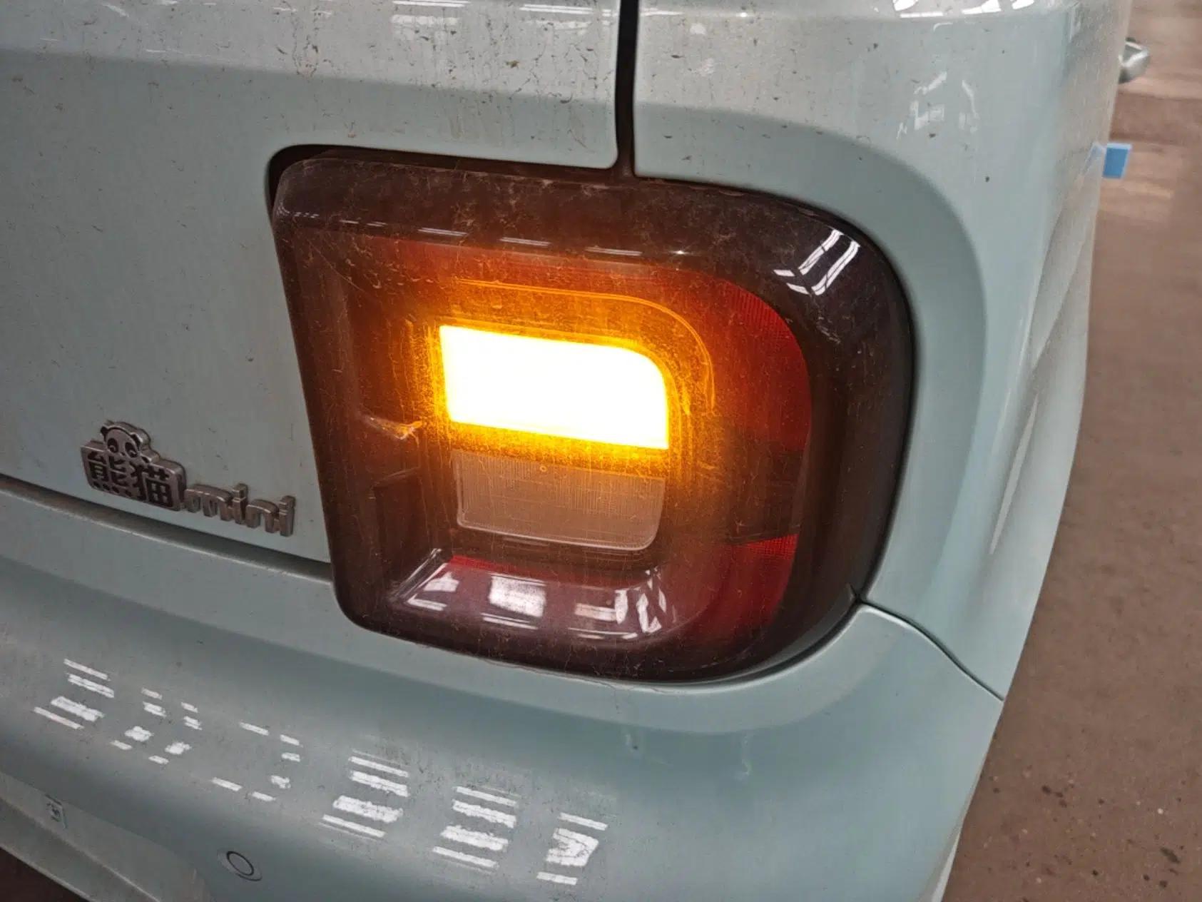 Geely Galaxy Panda 2024 Panda Mini 200km Endurance Bear — миниатюра 8