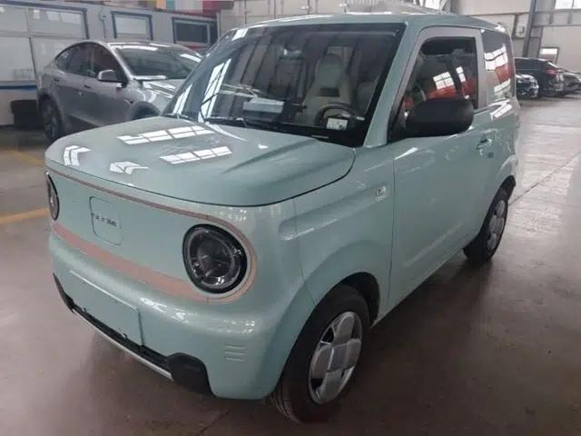 Geely Galaxy Panda 2024 Panda Mini 200km Endurance Bear