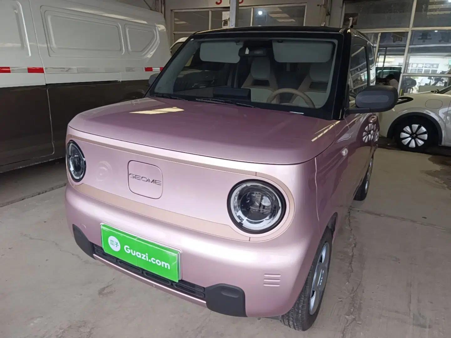 Geely Galaxy Panda 2024 Facelifted Panda Mini 200km Dragon Edition — миниатюра 1