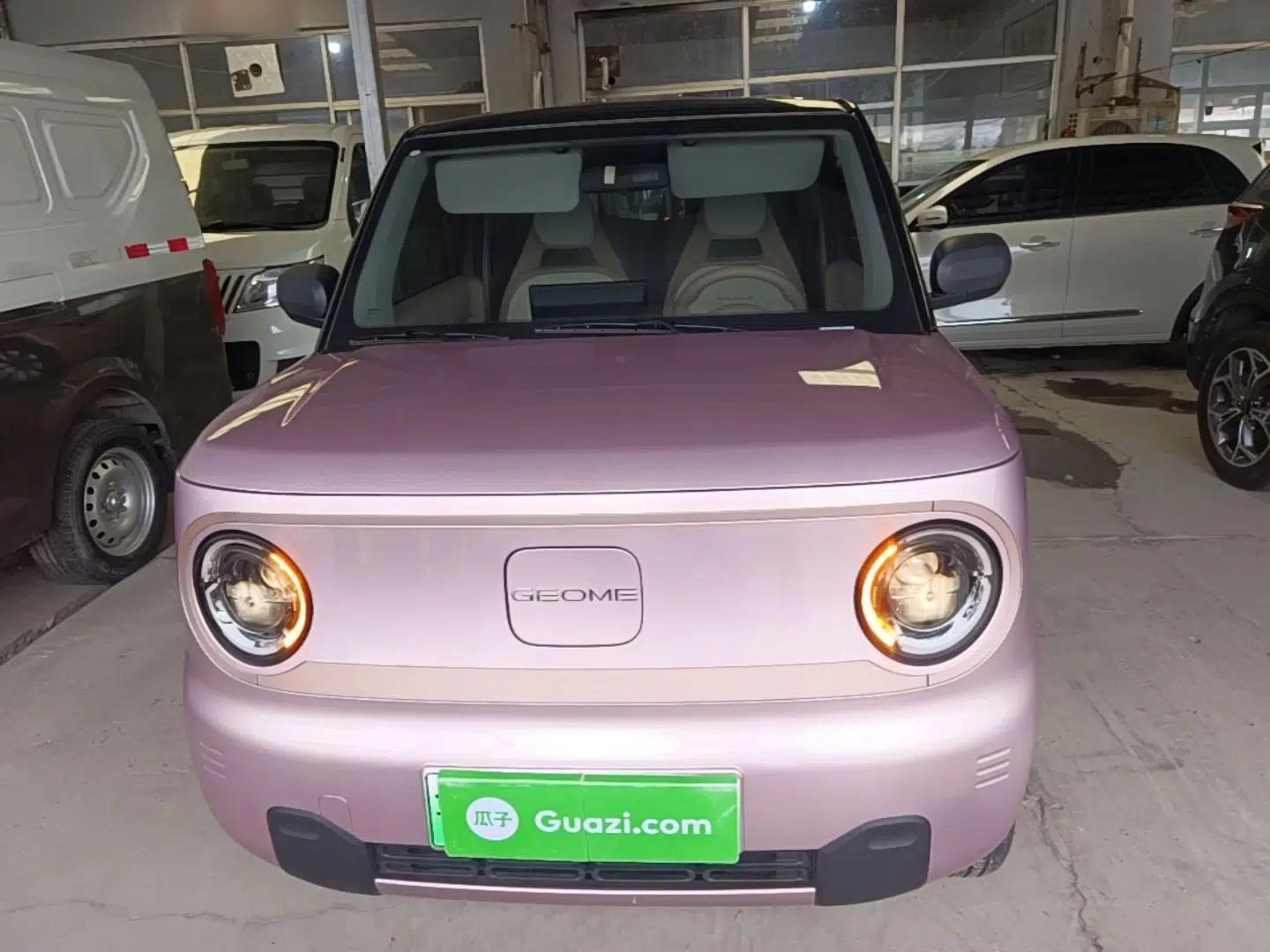 Geely Galaxy Panda 2024 Facelifted Panda Mini 200km Dragon Edition — миниатюра 2