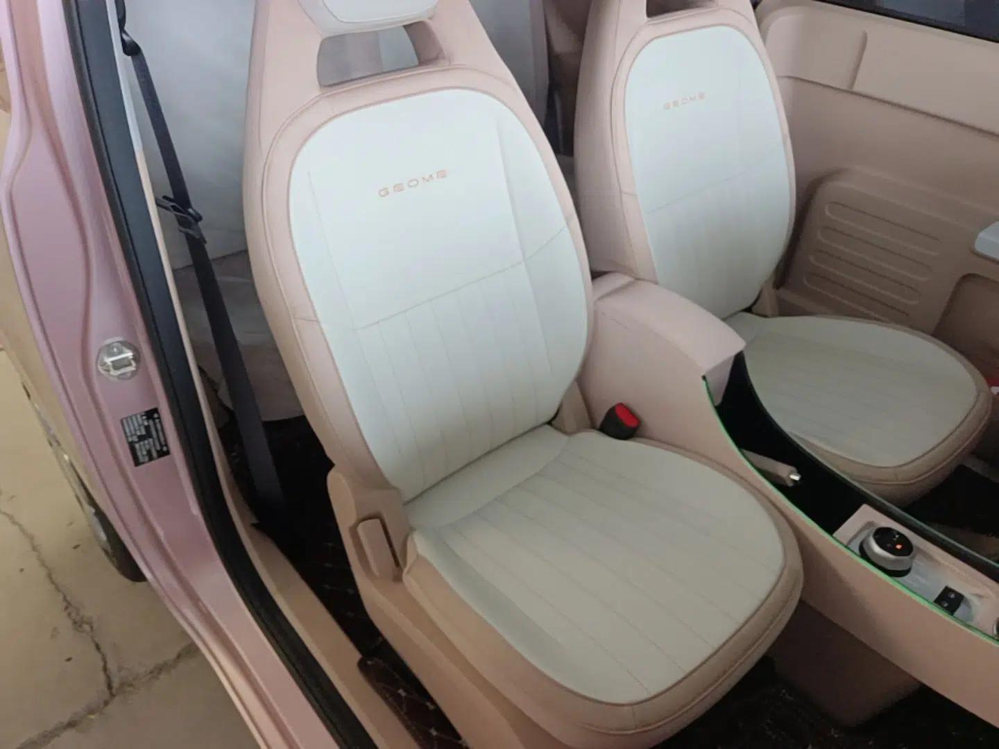 Geely Galaxy Panda 2024 Facelifted Panda Mini 200km Dragon Edition — миниатюра 23